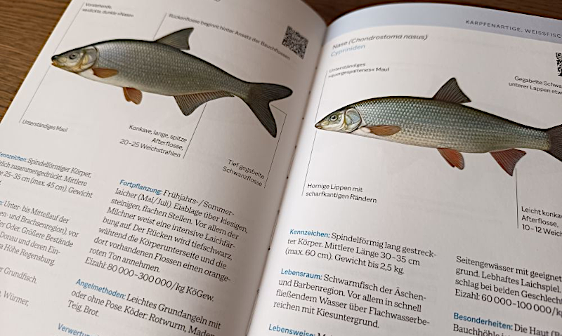 Begleitbuch zur Fischerprüfung